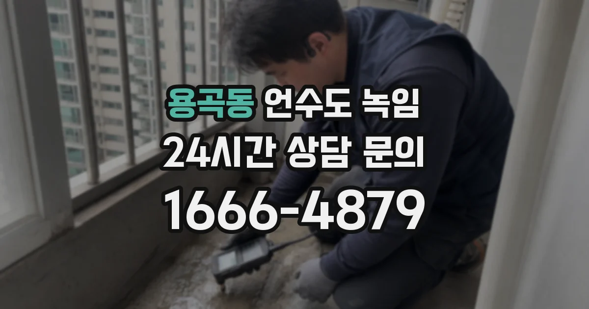 용곡동 언수도 녹임