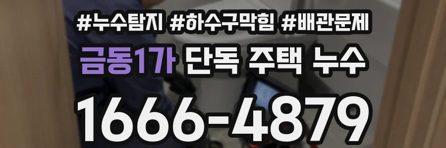 금동1가 단독 주택 누수