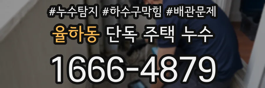율하동 단독 주택 누수