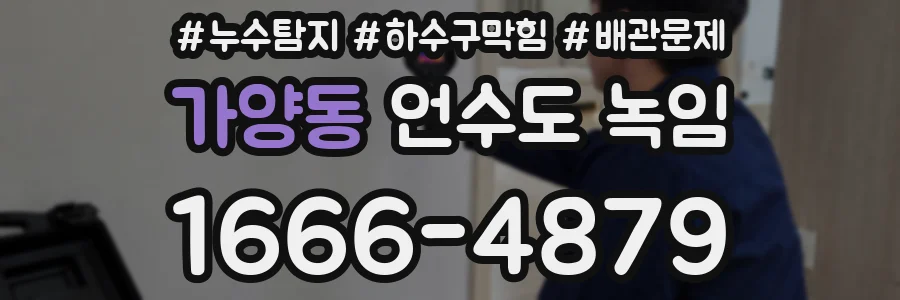 가양동 언수도 녹임