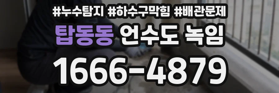 탑동동 언수도 녹임