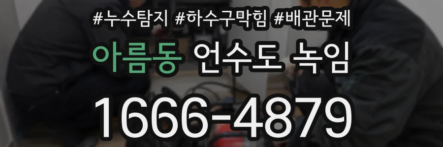 아름동 언수도 녹임