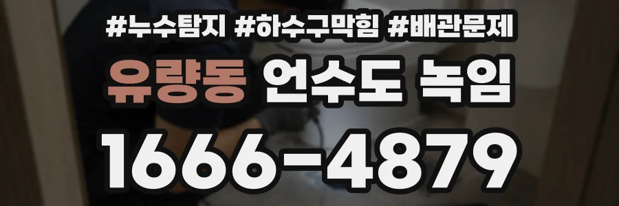 유량동 언수도 녹임