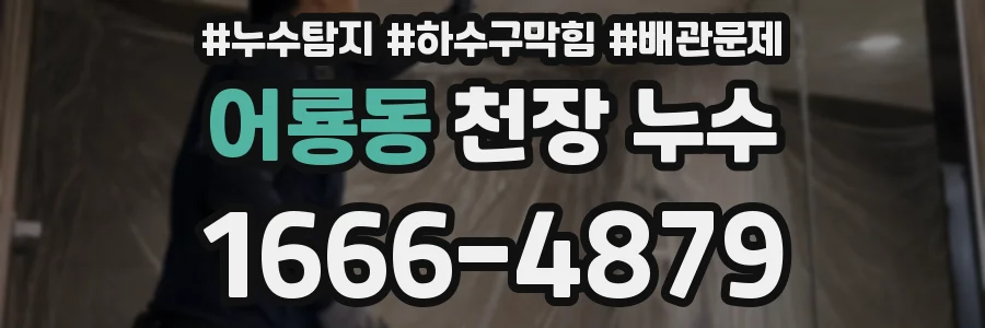 어룡동 천장 누수