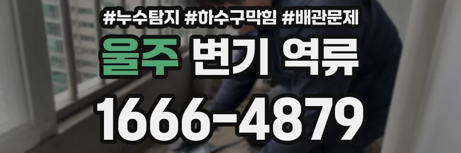 울주 변기 역류