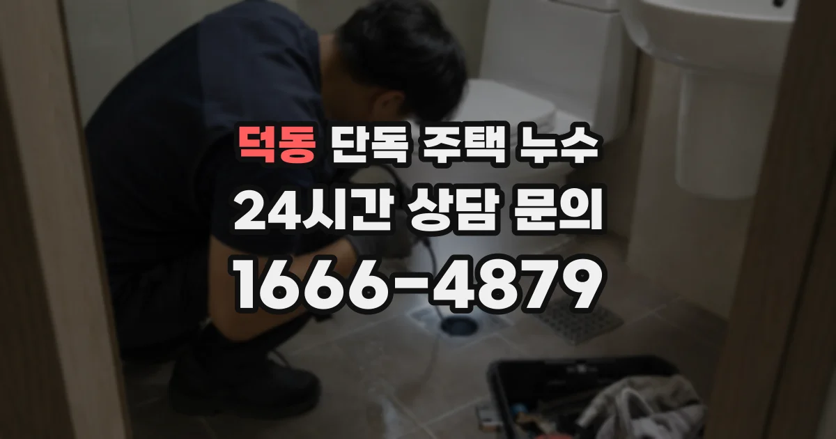덕동 단독 주택 누수
