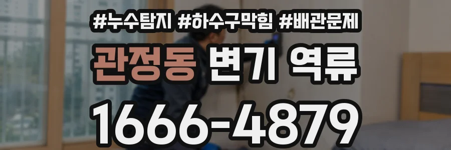 관정동 변기 역류