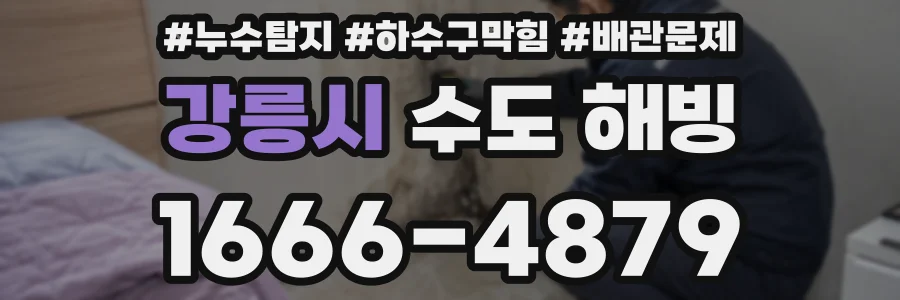 강릉시 수도 해빙