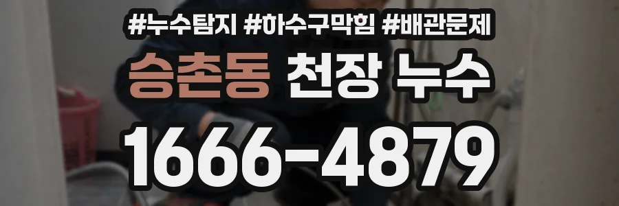 승촌동 천장 누수