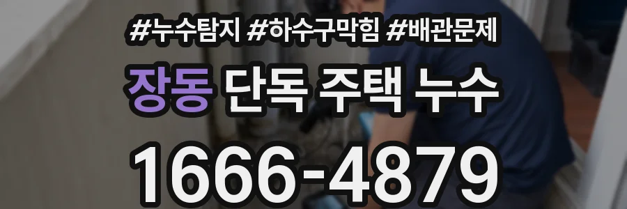 장동 단독 주택 누수