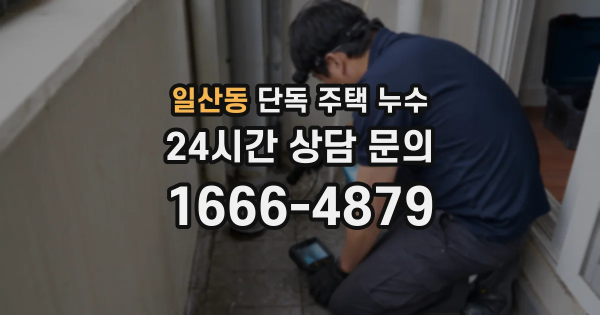 일산동 단독 주택 누수