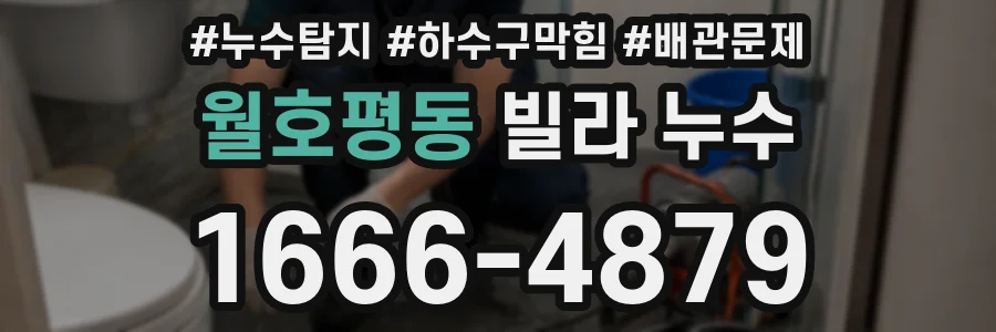 월호평동 빌라 누수