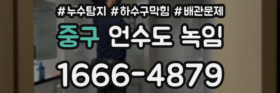 중구 언수도 녹임