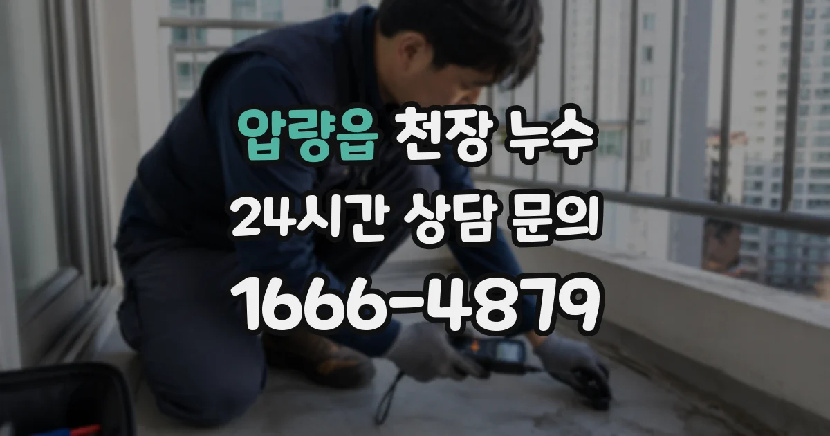 압량읍 천장 누수