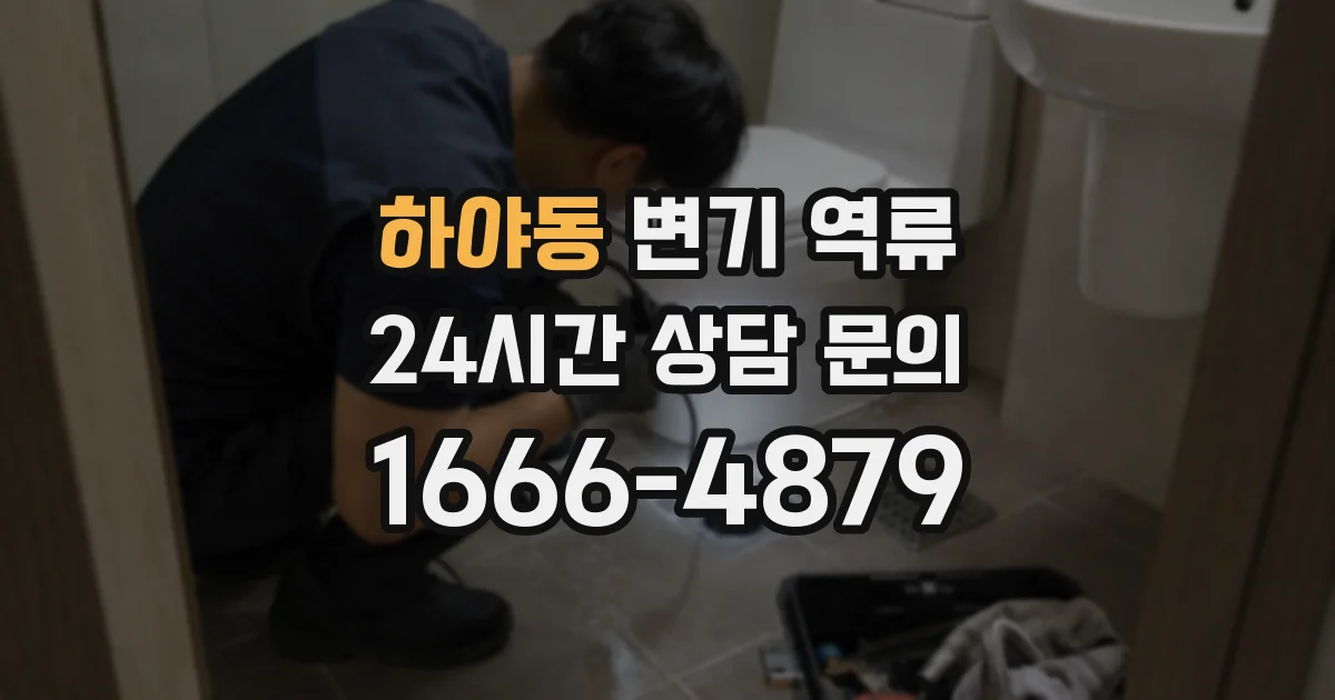 하야동 변기 역류
