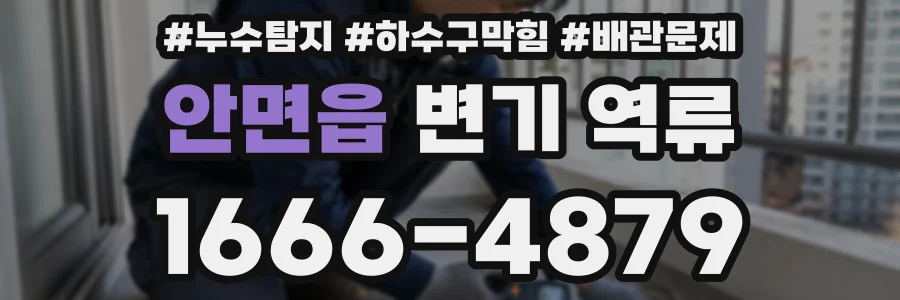 안면읍 변기 역류