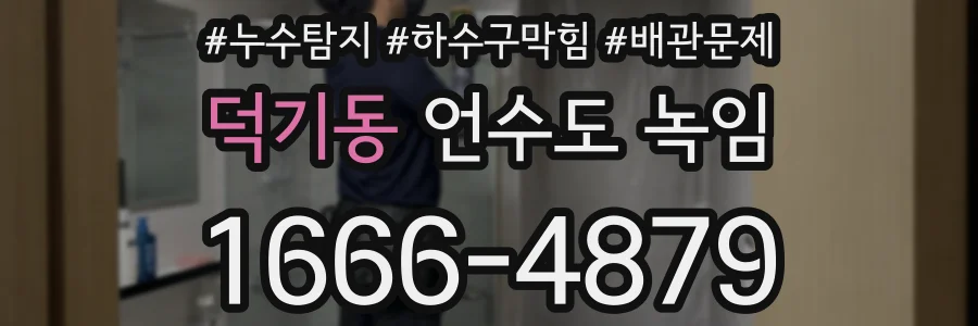 덕기동 언수도 녹임