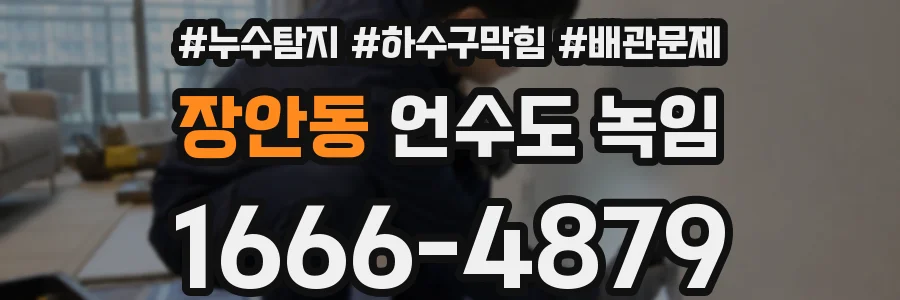 장안동 언수도 녹임
