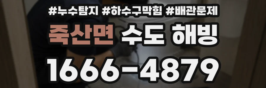 죽산면 수도 해빙