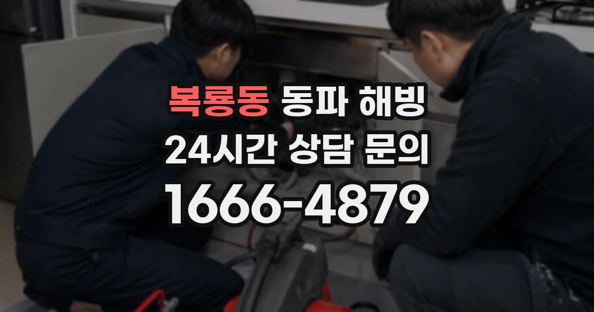 복룡동 동파 해빙