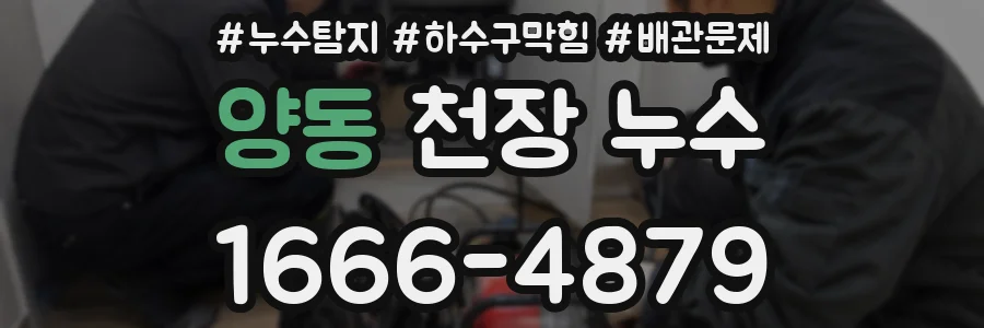 양동 천장 누수