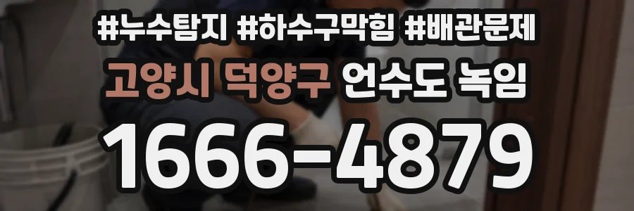 고양시 덕양구 언수도 녹임