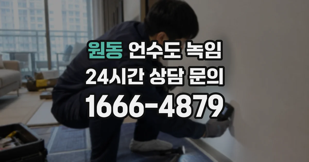 원동 언수도 녹임