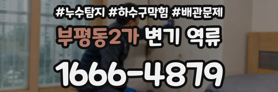 부평동2가 변기 역류