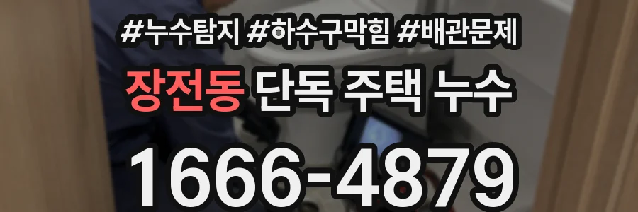 장전동 단독 주택 누수