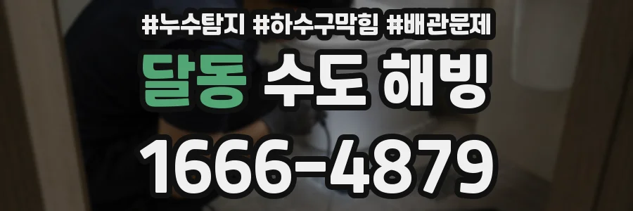 달동 수도 해빙