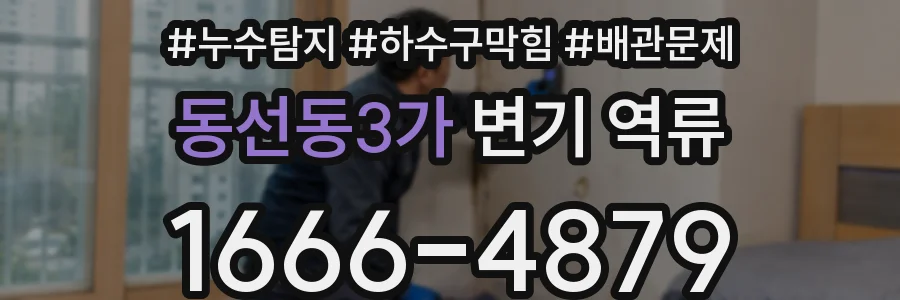 동선동3가 변기 역류