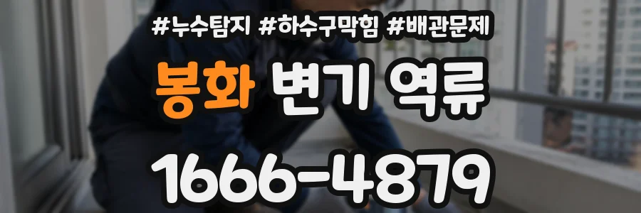 봉화 변기 역류