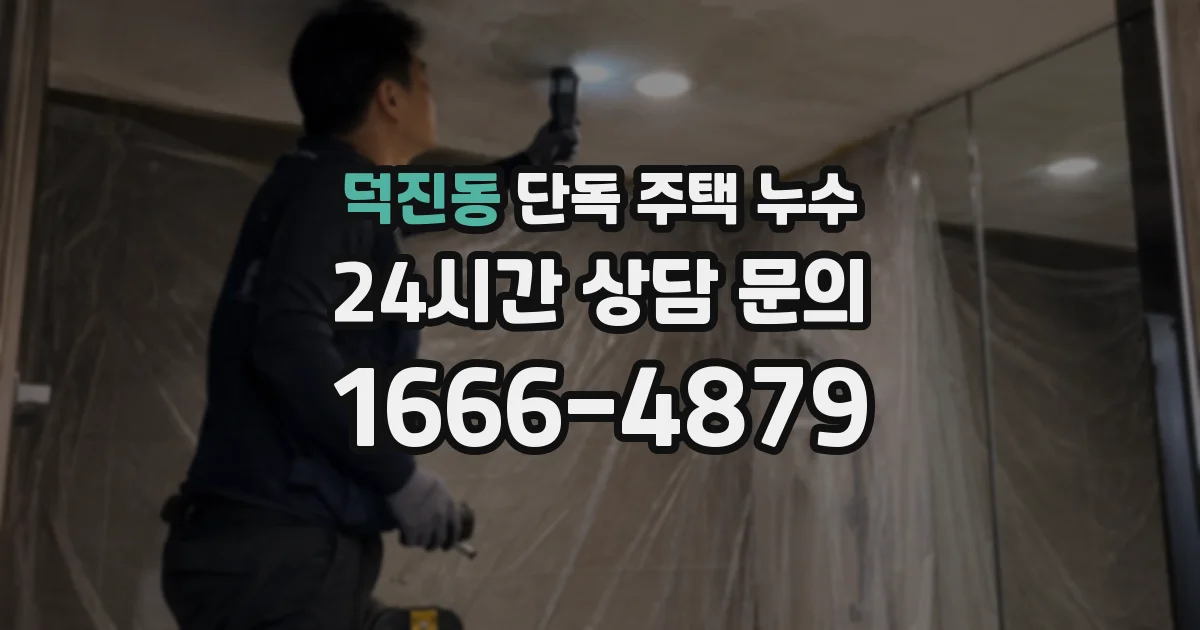 덕진동 단독 주택 누수