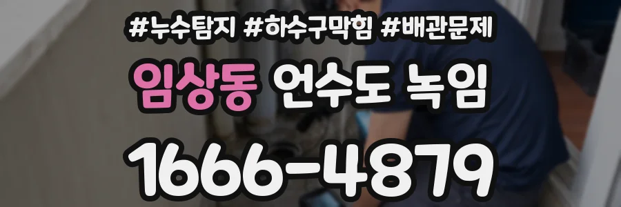 임상동 언수도 녹임