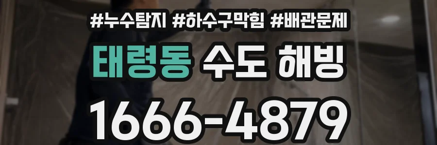 태령동 수도 해빙