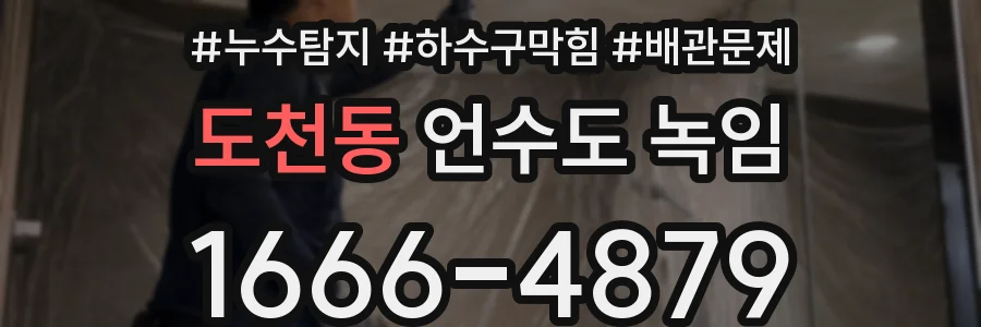 도천동 언수도 녹임