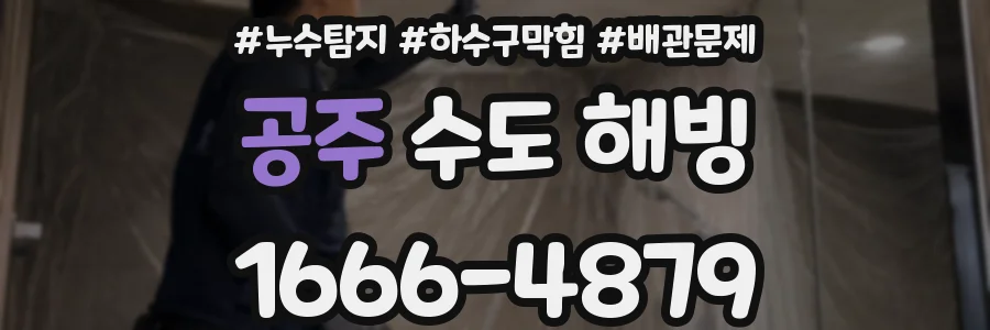 공주 수도 해빙