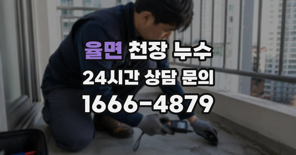 율면 천장 누수