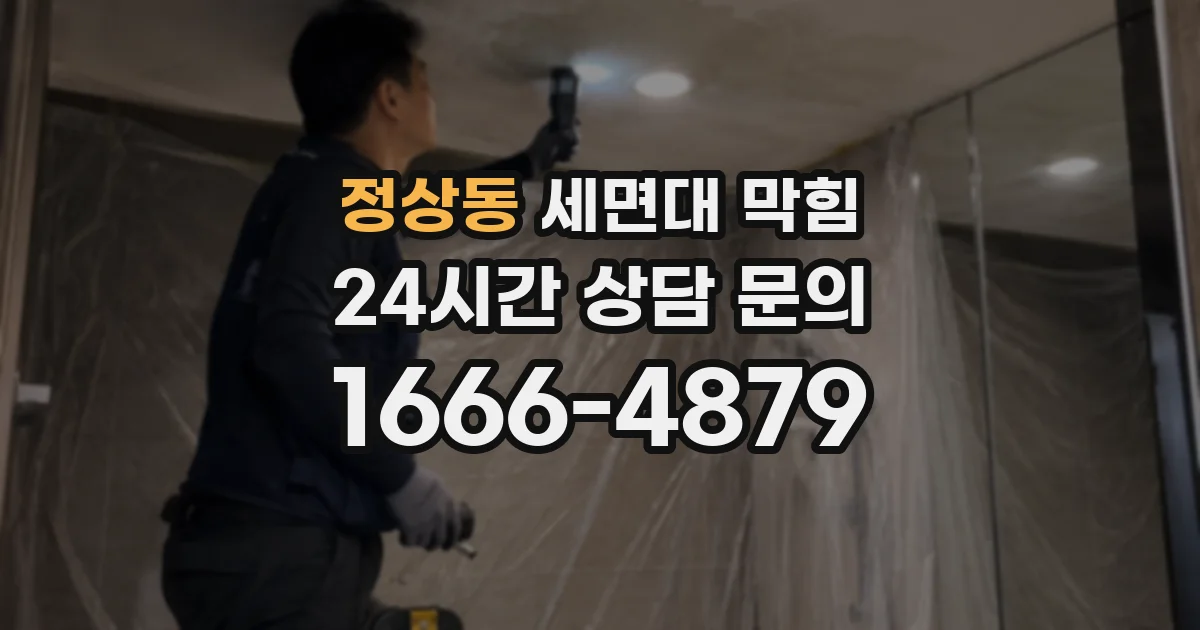 정상동 세면대 막힘
