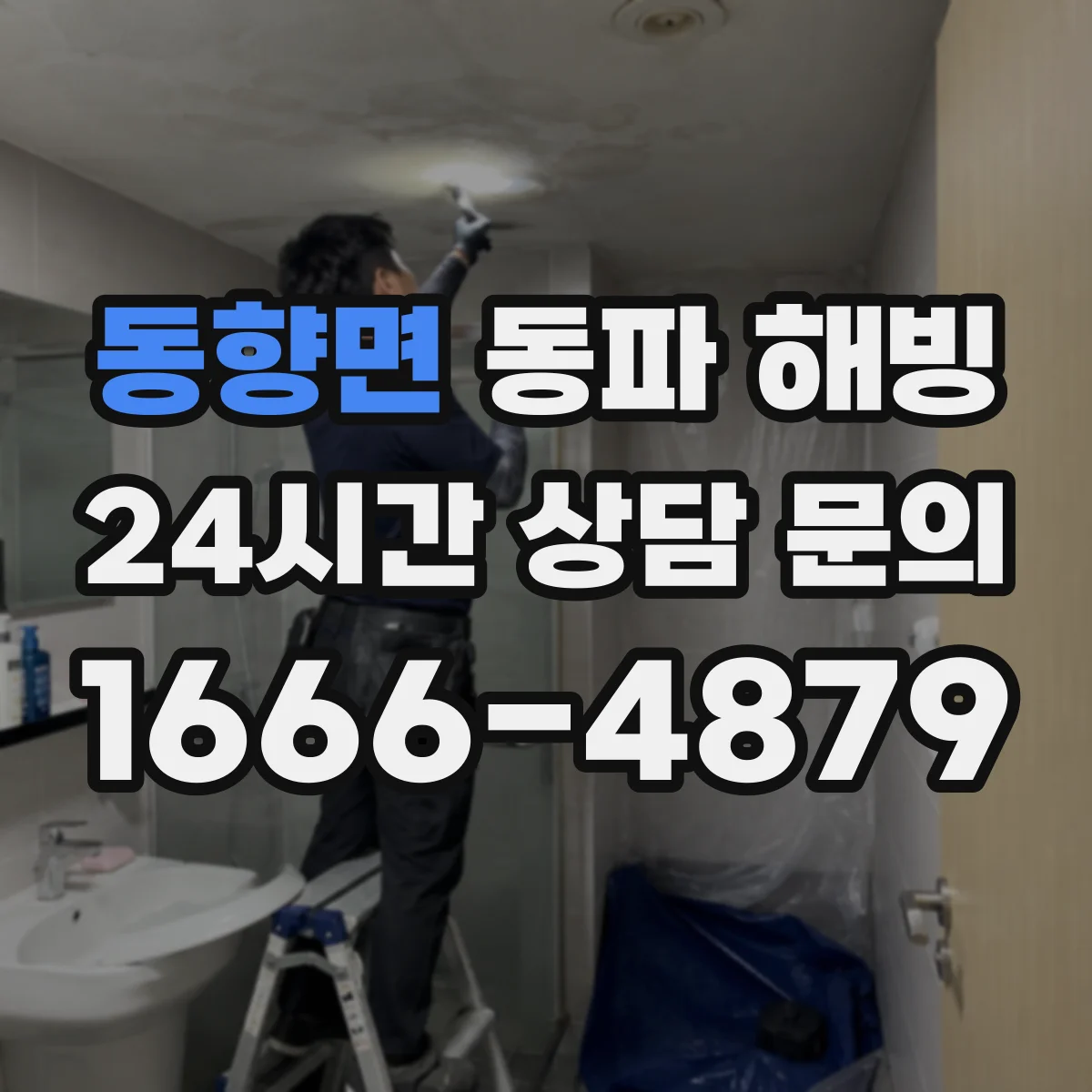 동향면 동파 해빙