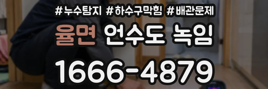 율면 언수도 녹임
