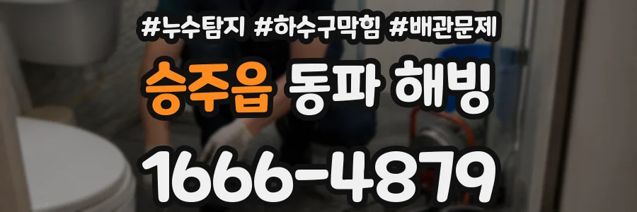 승주읍 동파 해빙