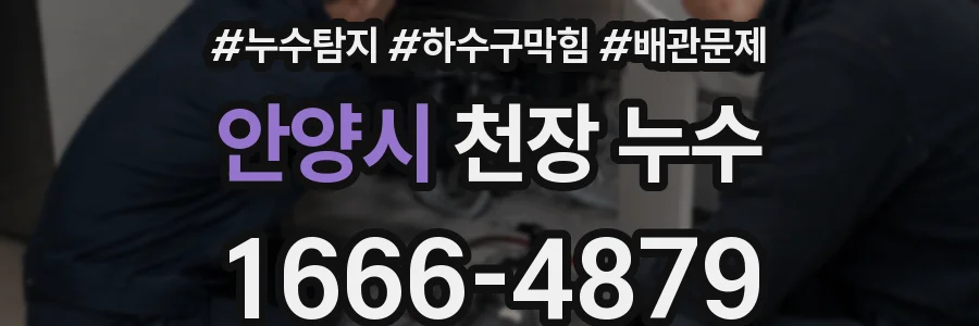 안양시 천장 누수