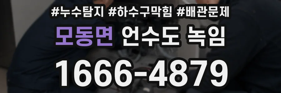 모동면 언수도 녹임