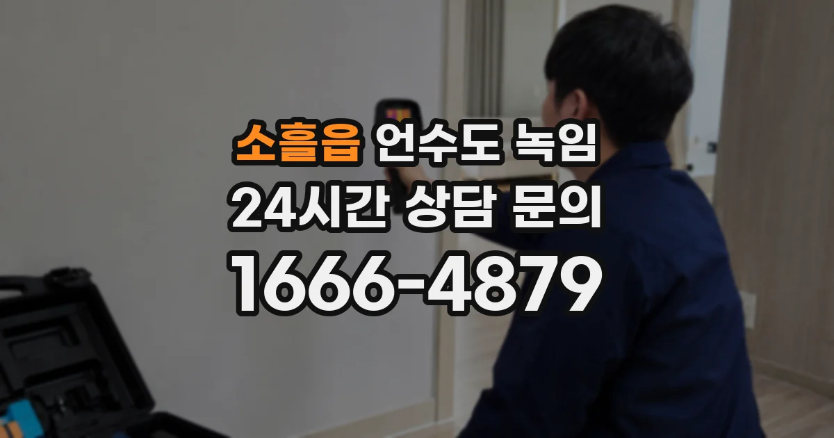 소흘읍 언수도 녹임