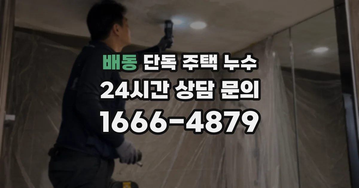 배동 단독 주택 누수