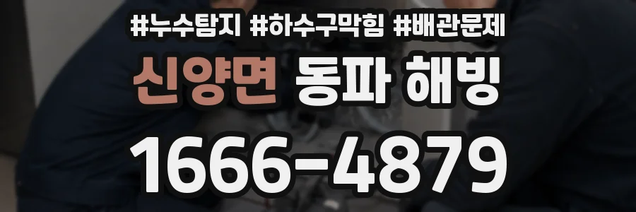 신양면 동파 해빙