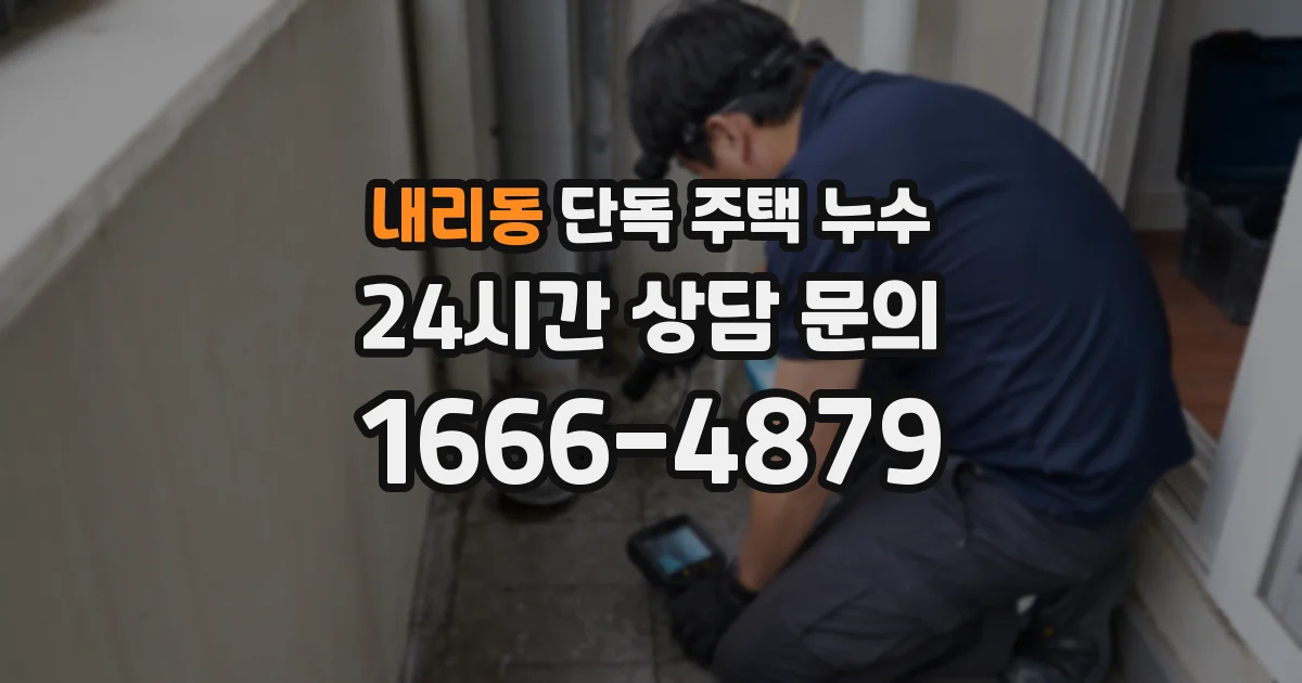 내리동 단독 주택 누수