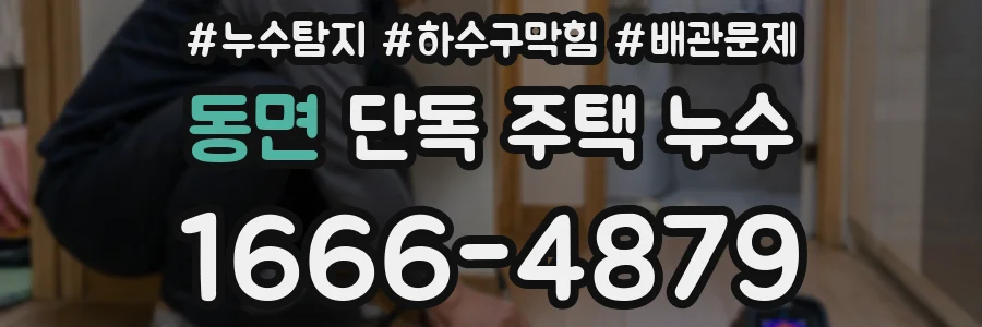 동면 단독 주택 누수