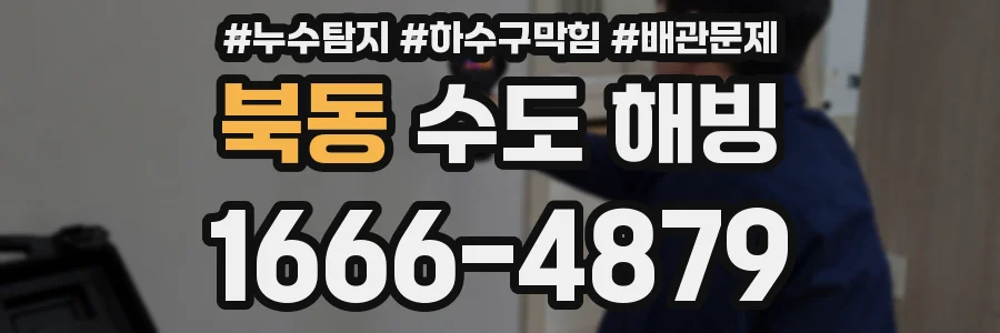 북동 수도 해빙